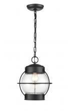 Millennium 4172-PBK - Outdoor Hanging Lantern